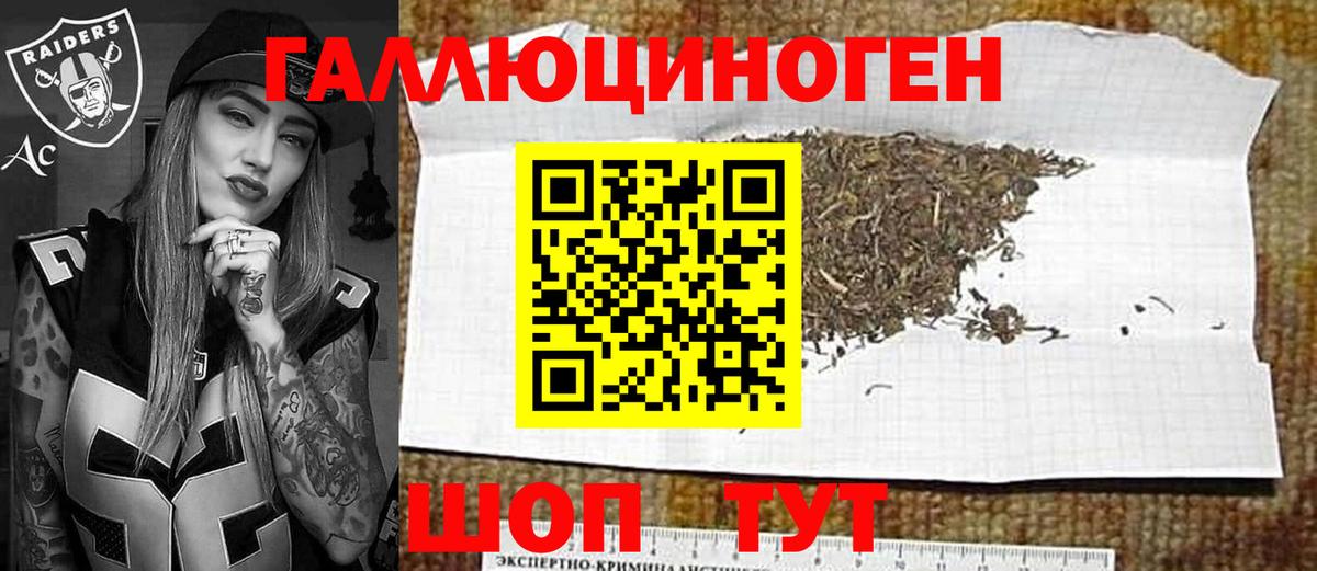 Галлюциногенные грибы Psilocybe Туймазы